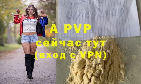 соль ск Новый Уренгой