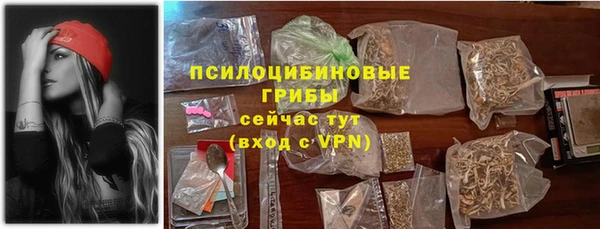 эйфоретик Белокуриха
