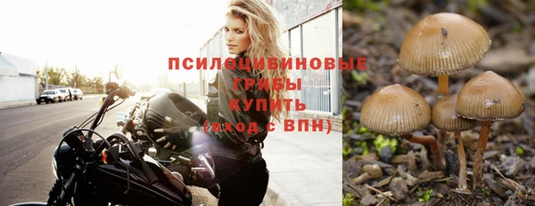 мдма Беломорск